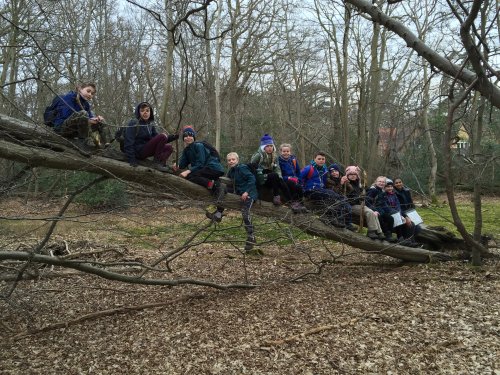 The scouts on a hike